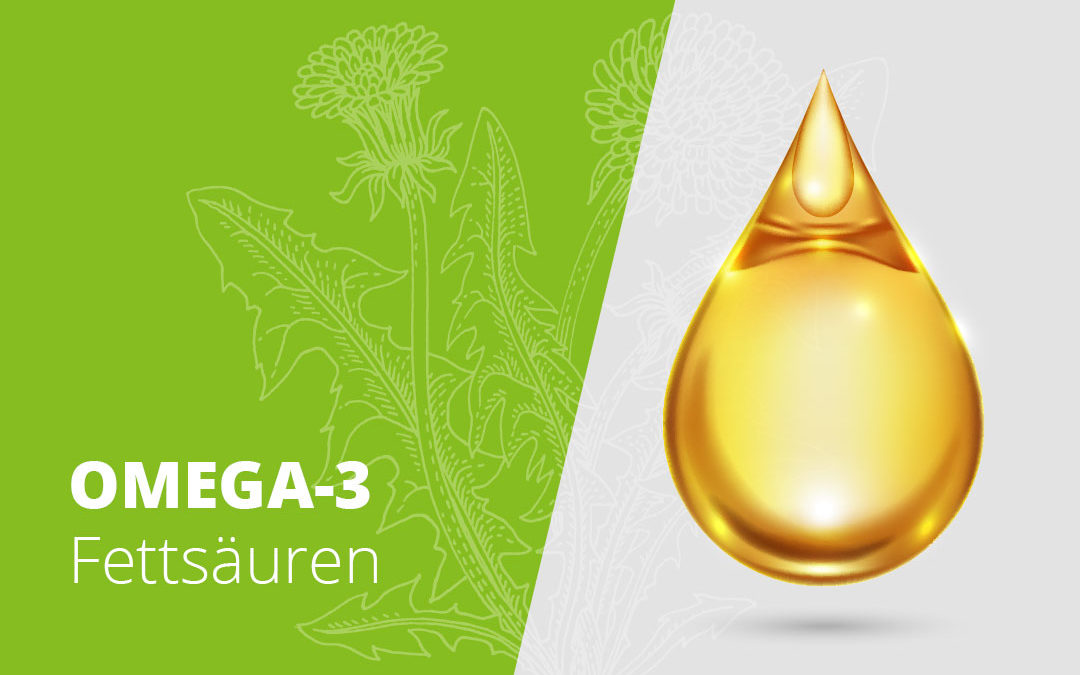 Löwen Apotheke: Blog - Omega-3-Fettsäuren